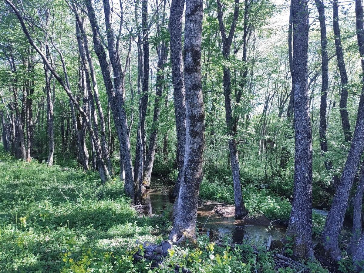 Velebit Lodge Lovinac  Eksteriør billede